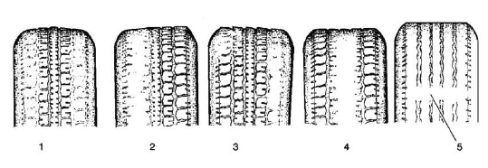 Buick Enclave. Tires and Wheels